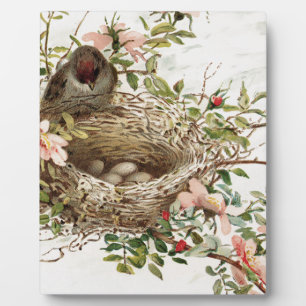 Vintage Bird in Nest Animal Print Plaque