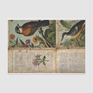 Vintage Bird Journal Tissue Paper