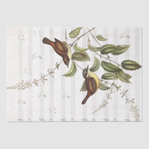 Vintage Bird Music Notes Decoupage  Tissue Paper