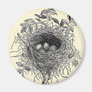 Vintage Bird Nest Illustration Magnet