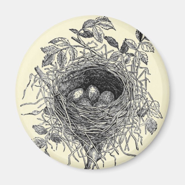 Vintage Bird Nest Illustration Magnet (Front)