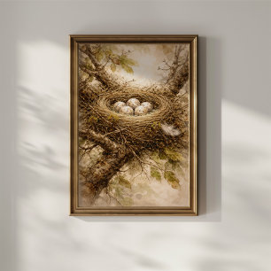 Vintage Bird Nest with Eggs Poster