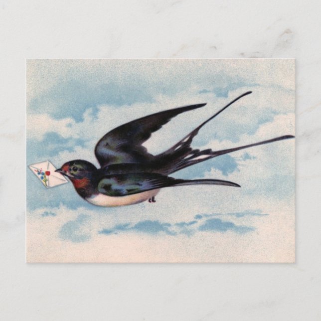 Vintage Bird Postcard (Front)