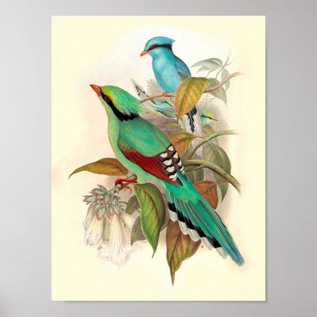 Vintage Bird Poster (Front)