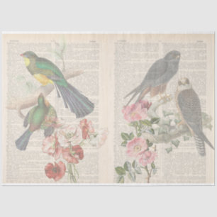 Vintage Bird Series Design 6 Tissue Paper