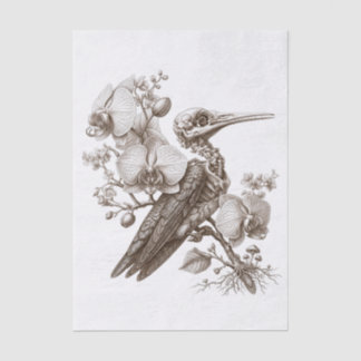 Vintage Bird Skeleton and Orchid Flowers Engraving Tissue Paper