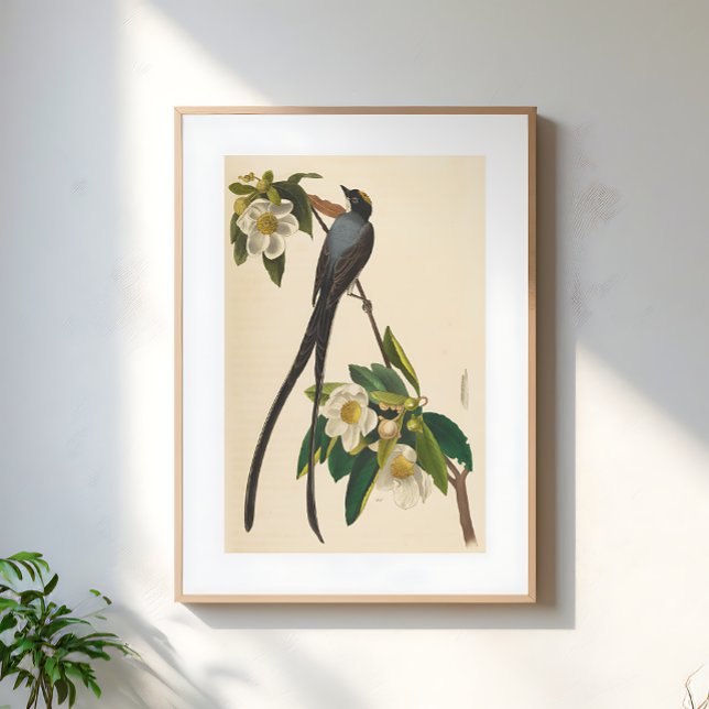 Vintage Bird Swallow-tailed floral illustration Poster (Creator Uploaded)