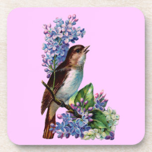 Vintage Bird With Flowers Coaster Set