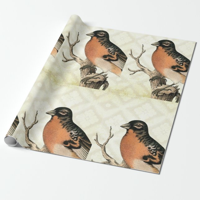 Vintage Bird Wrapping Paper (Unrolled)