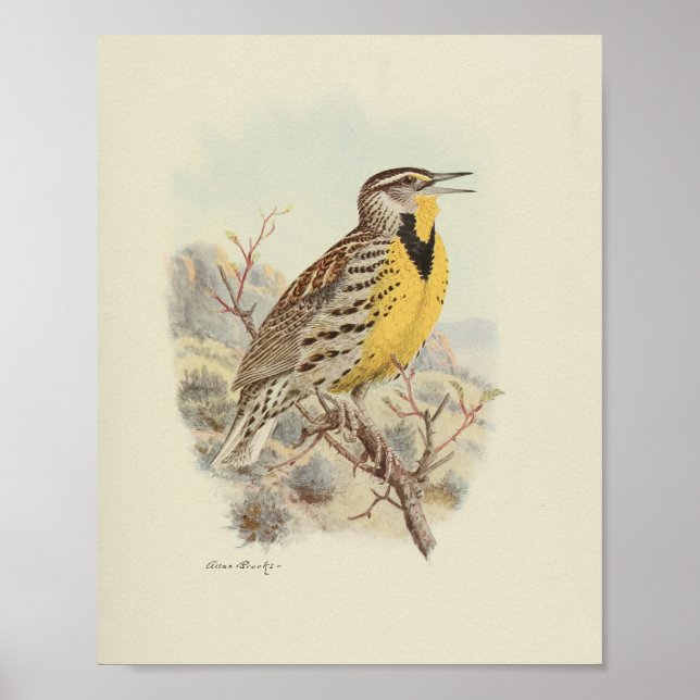 Vintage Bird Yellow Brown Speckled Print (Front)