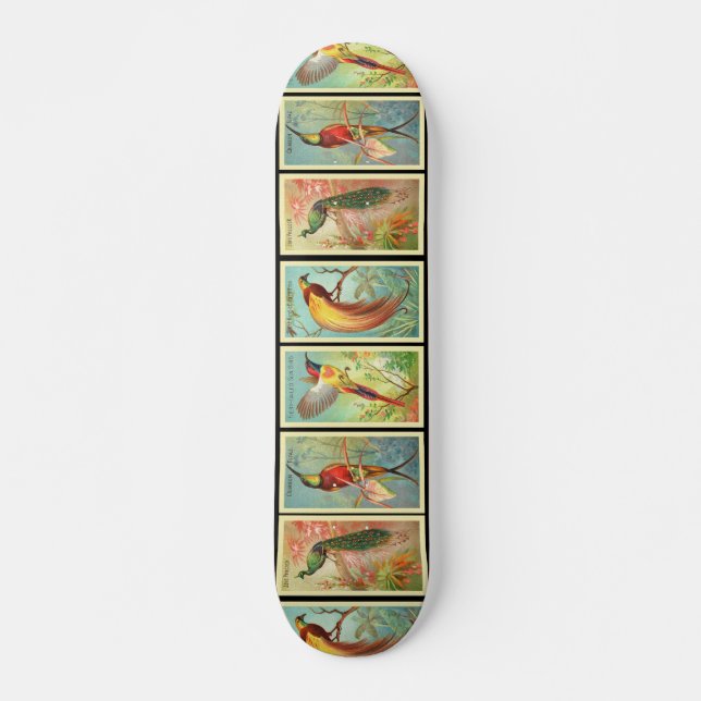 Vintage Birds 2 Skateboard (Front)