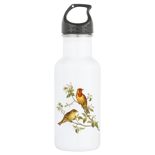 Vintage Birds 532 Ml Water Bottle (Front)