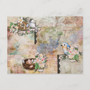 Vintage Birds and Ephemera Collage Postcard