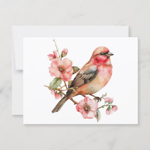Vintage birds and flower postcard