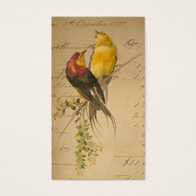 Vintage Birds and Ledger Paper (Front)