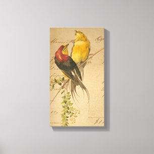 Vintage Birds and Ledger Paper Canvas Print