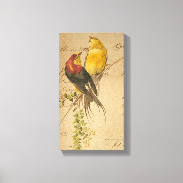 Vintage Birds and Ledger Paper Canvas Print (Front)