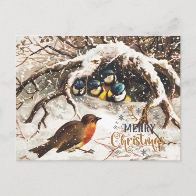 Vintage Birds Christmas Holiday Postcard (Front)