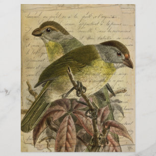 Vintage Birds Ephemera Scrapbook Paper
