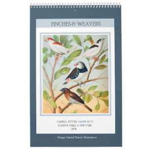 Vintage Birds - Finches and Weavers 2025 Calendar