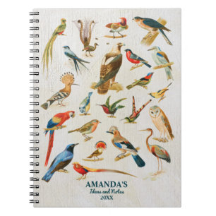 Vintage Birds Illustration Birding Lover Gift Notebook