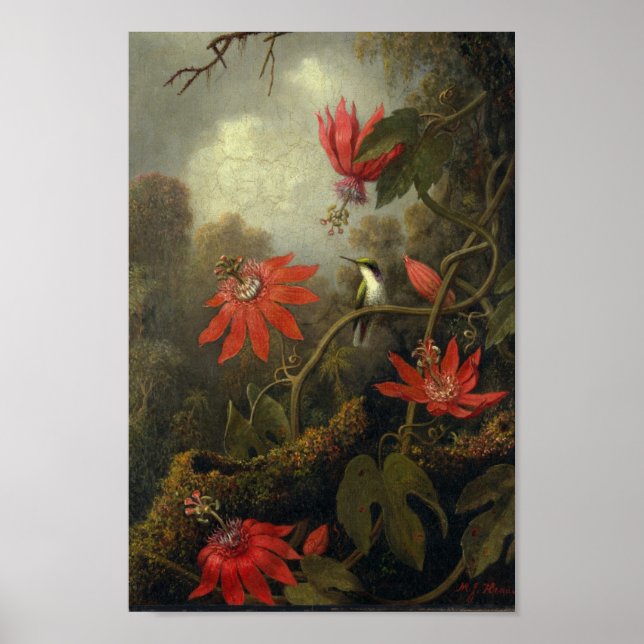 Vintage Birds Illustration Poster (Front)