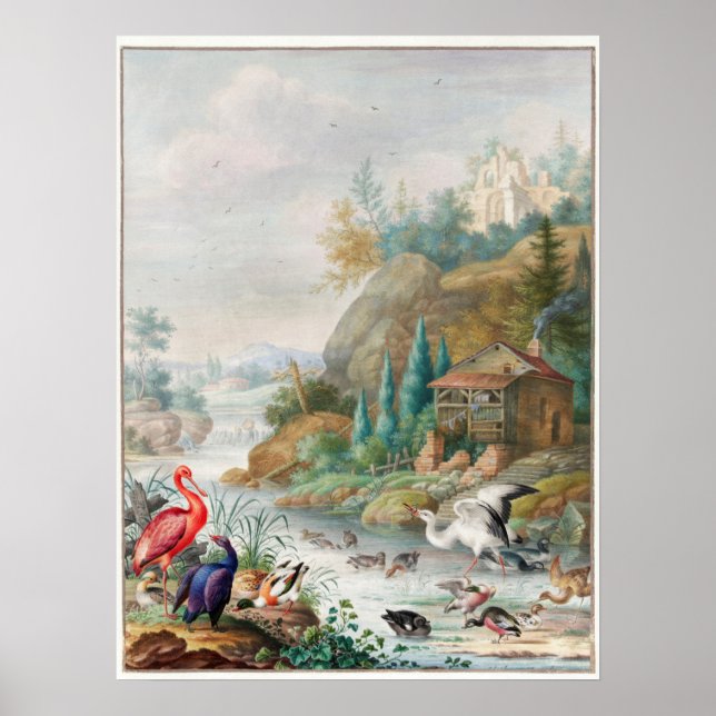 Vintage Birds Illustration Poster (Front)