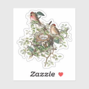 Vintage Birds in Nest