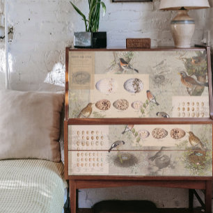 Vintage Birds Nest Eggs Script Ephemera Decoupage Tissue Paper