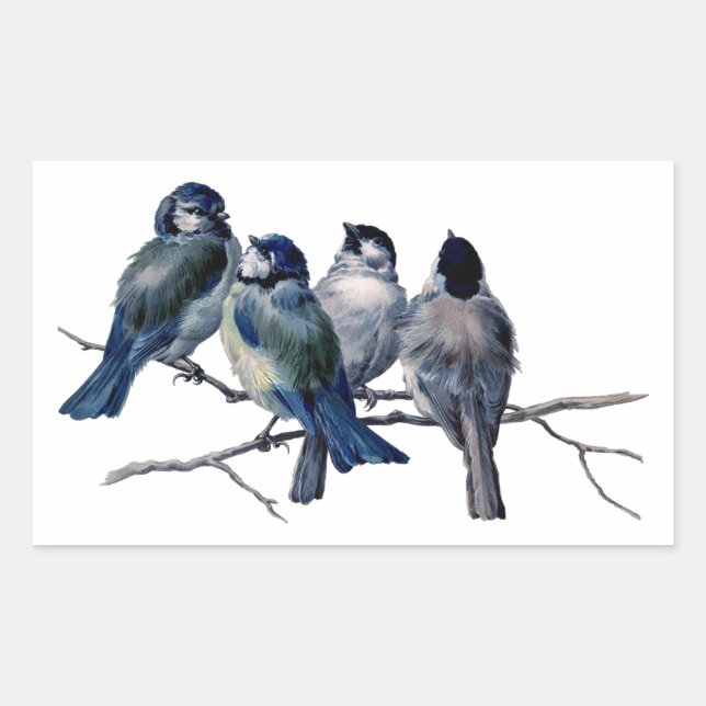 Vintage Birds on a Branch Rectangular Sticker (Front)
