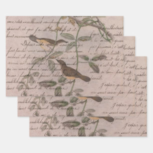 Vintage Birds on Branches with Writing Wrapping Paper Sheet