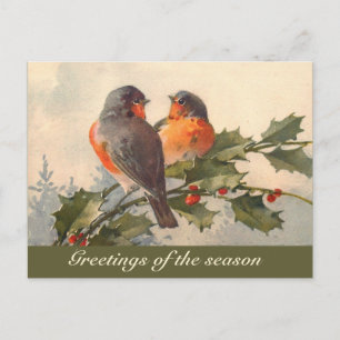 Vintage birds on holly branch postcard