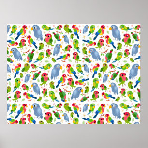 Vintage Birds Pattern, Colourful parakeet pattern Poster