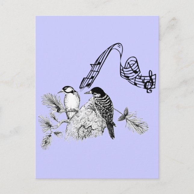 Vintage Birds Postcard (Front)