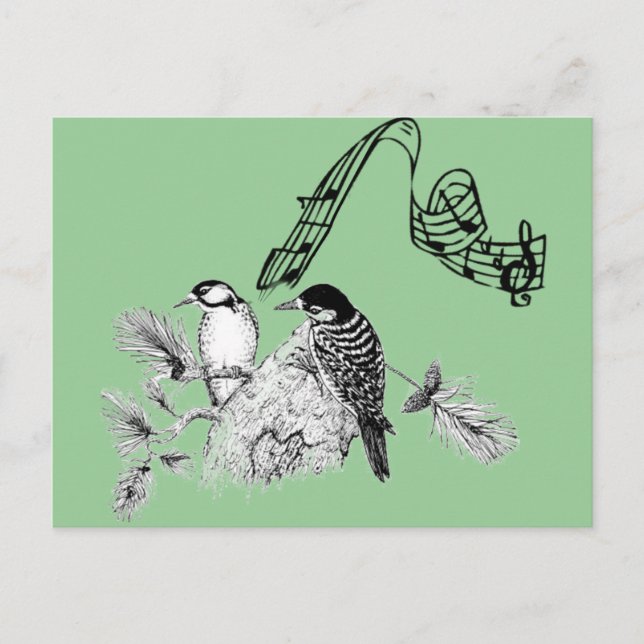 Vintage Birds Postcard (Front)