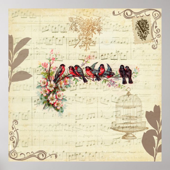 Vintage Birds Poster (Front)