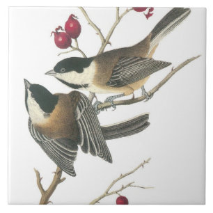 Vintage Birds Tile