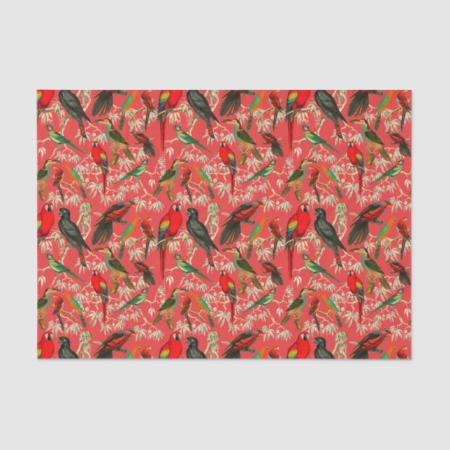 Vintage birds tissue paper (Front)