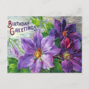 Vintage Birthday Postcard