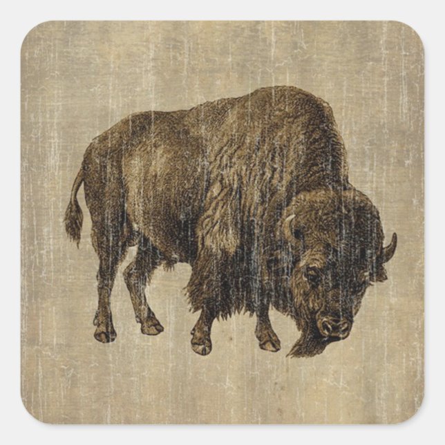 Vintage Bison Square Sticker (Front)