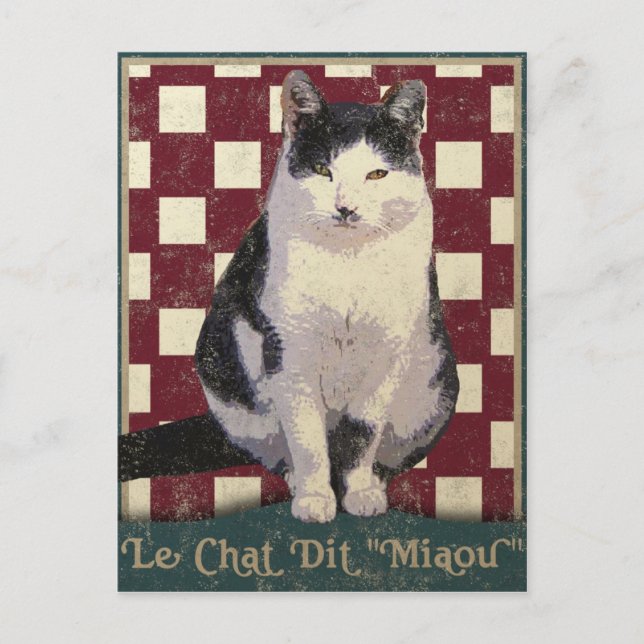Vintage Bistro Cat Postcard (Front)