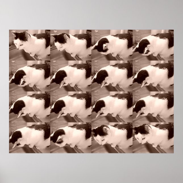 Vintage Black and White Cat Poster (Front)