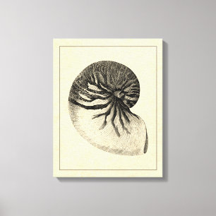 Vintage Black and White Conch Shell Canvas Print