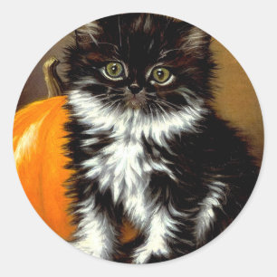 Vintage Black and White Halloween Cat Classic Round Sticker