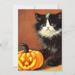 Vintage Black and White Halloween Kitten Invitation