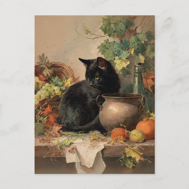 Vintage Black Cat Amid Autumn Fruits Postcard (Front)
