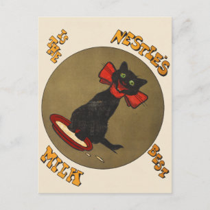 Vintage Black Cat Nestle's Milk Postcard