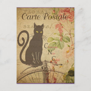 Vintage Black Cat, Postcard