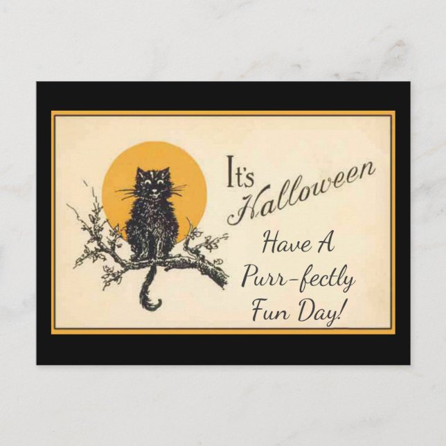 Vintage Black Cat Postcard (Front)