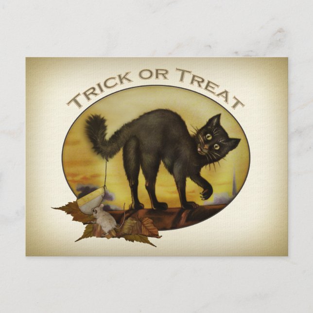 Vintage Black Cat Postcard (Front)